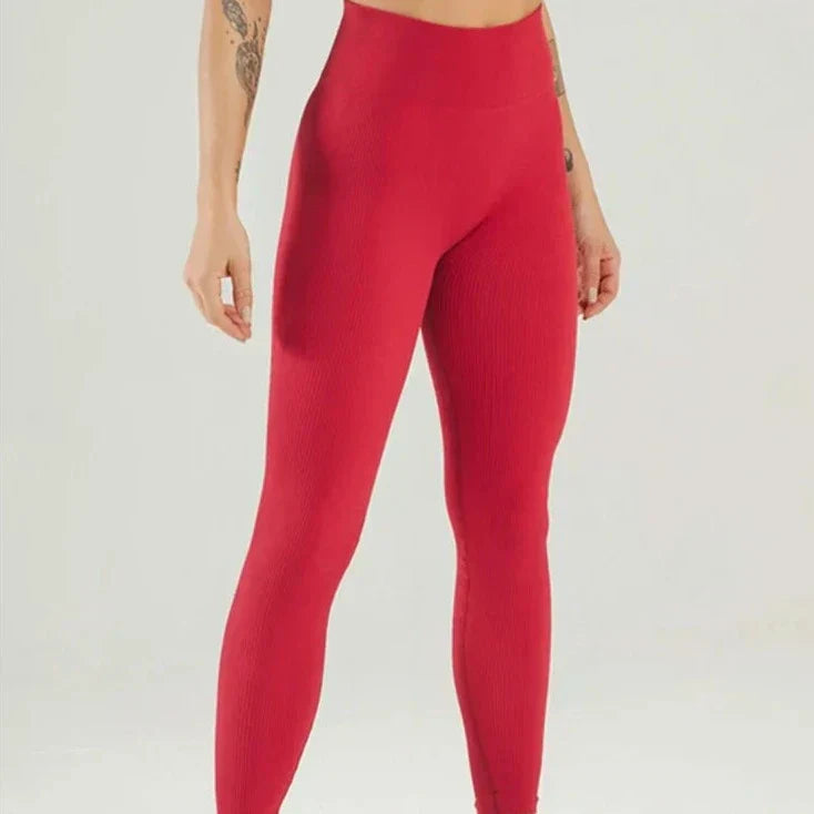 45870366097658|45870366195962|45870366228730